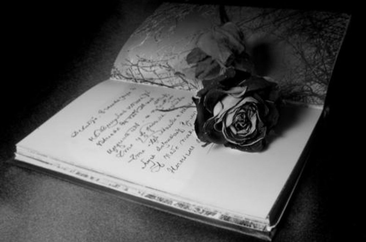 Ненавижу цветы. Поэзия картинки. Книга черно белая. Поэзия любви.